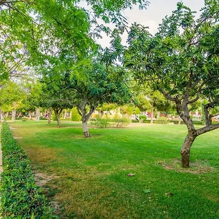 Apartamento Con Piscina En Centro Ciudad * Torrevieja